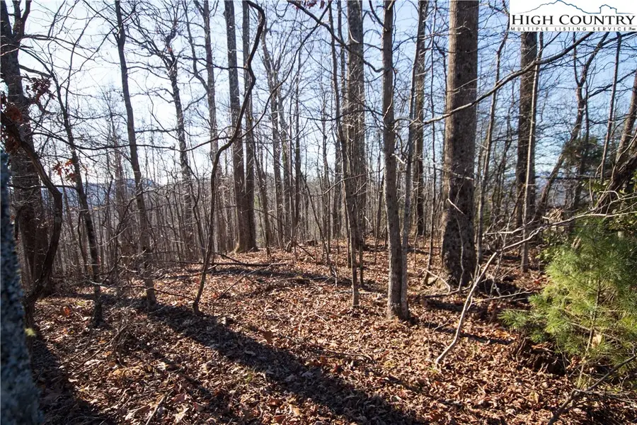 2223 Nighthawk Ridge Court, Lenoir, NC 28645 - Image #3