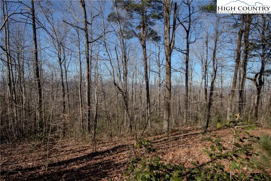 2220 Nighthawk Ridge Court, Lenoir, NC 28645 - Image #3