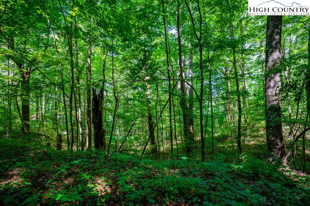 Lot 28 & 29 Marta Lane, Zionville, NC 28698 - Image #1