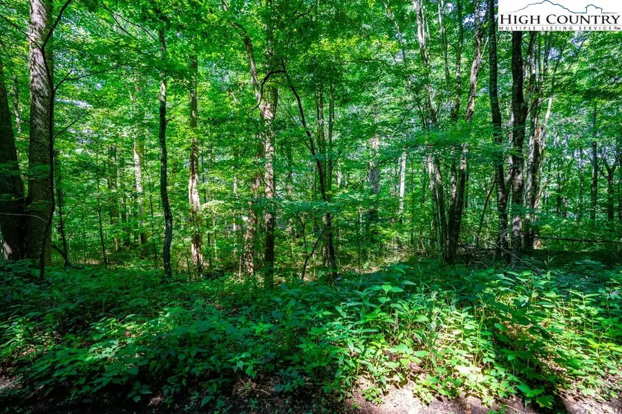 Lot 28 & 29 Marta Lane, Zionville, NC 28698 - Image #2