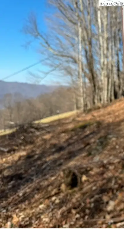 TBD Harley Perry Road, Zionville, NC 28698 - Image #2