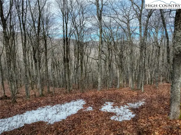 Lot 97 Elk Creek Mtn Prkwy, Todd, NC 28684