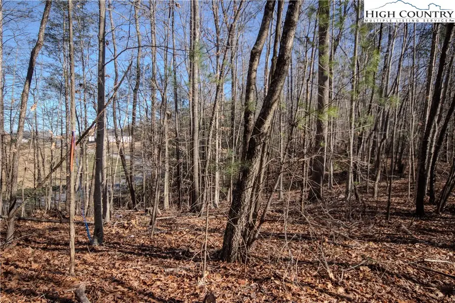 Lot# 80 SE Huntington Woods Street, Lenoir, NC 28645 - Image #3