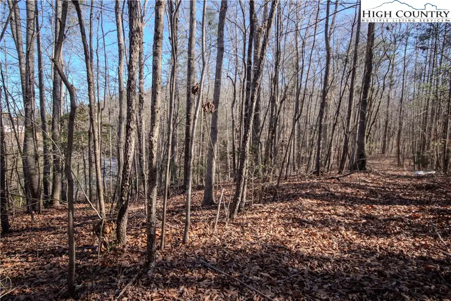 Lot# 81 SE Huntington Woods Street, Lenoir, NC 28645 - Image #2