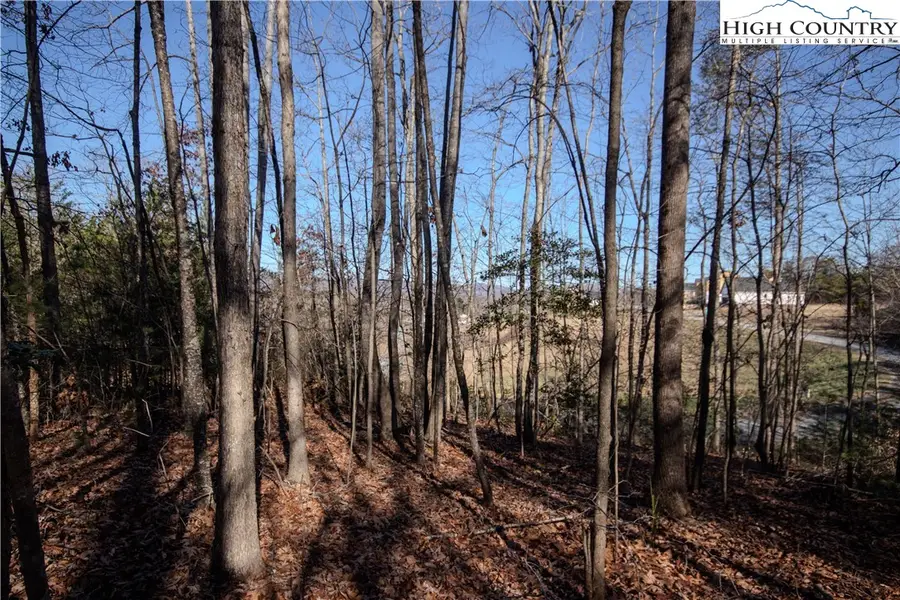 Lot# 81 SE Huntington Woods Street, Lenoir, NC 28645 - Image #3