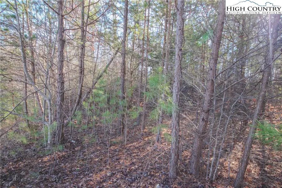 Lot# 82 SE Huntington Woods Street, Lenoir, NC 28645 - Image #2