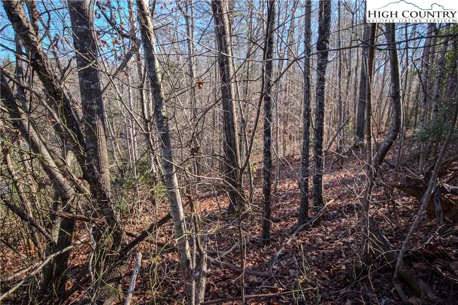 Lot# 82 SE Huntington Woods Street, Lenoir, NC 28645 - Image #3