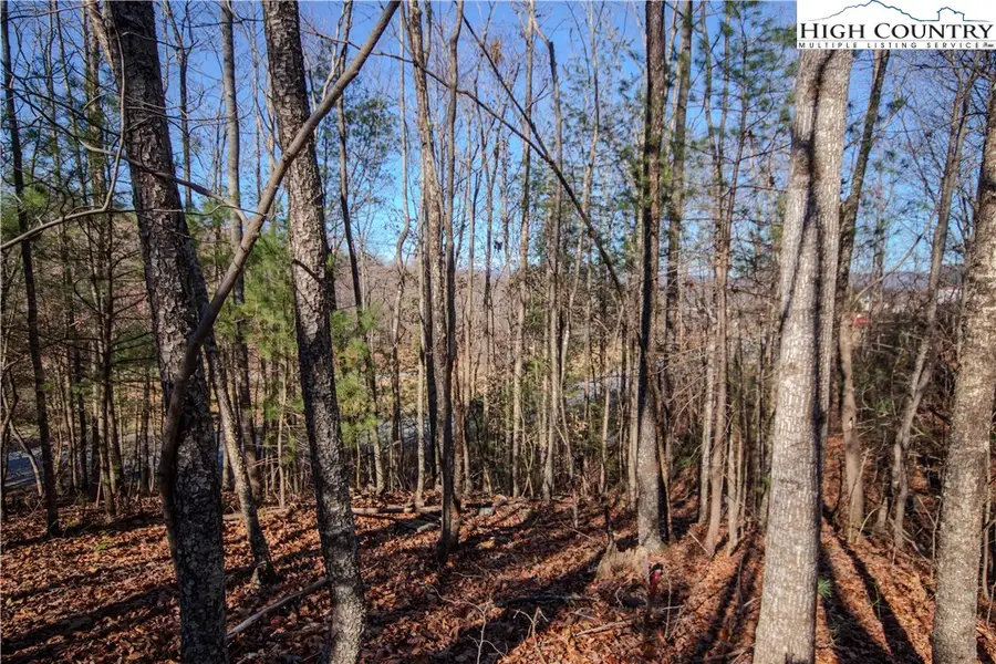 401 SE Huntington Woods Street, Lenoir, NC 28645 - Image #2