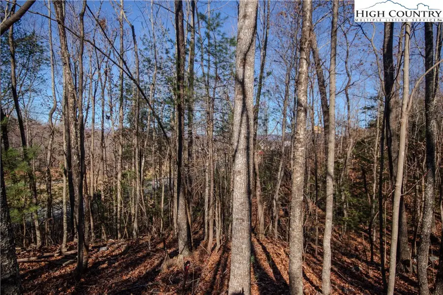 401 SE Huntington Woods Street, Lenoir, NC 28645 - Image #3