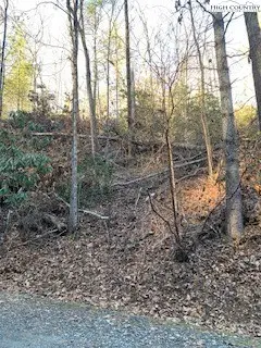 TBD Cherokee Drive, West Jefferson, NC 28694 - Image #2