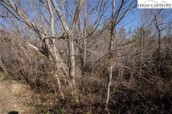 708 SE Chatsworth Street, Lenoir, NC 28645