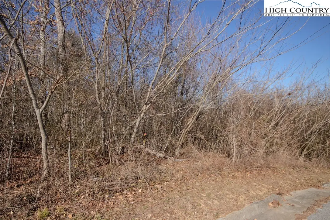 740 SE Chatsworth Street, Lenoir, NC 28645 - Image #1