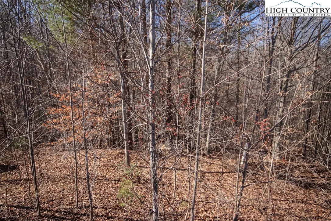 742 SE Chatsworth Street, Lenoir, NC 28645 - Image #1