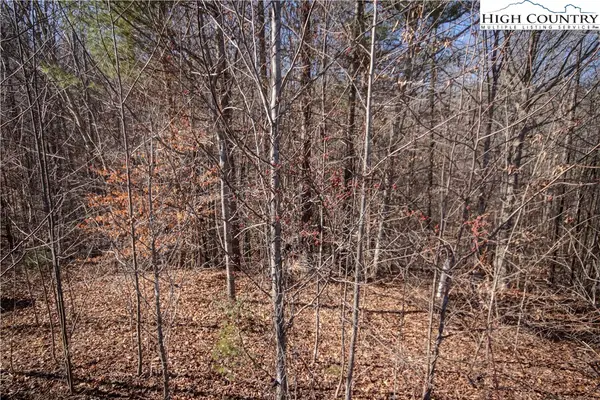 742 SE Chatsworth Street, Lenoir, NC 28645