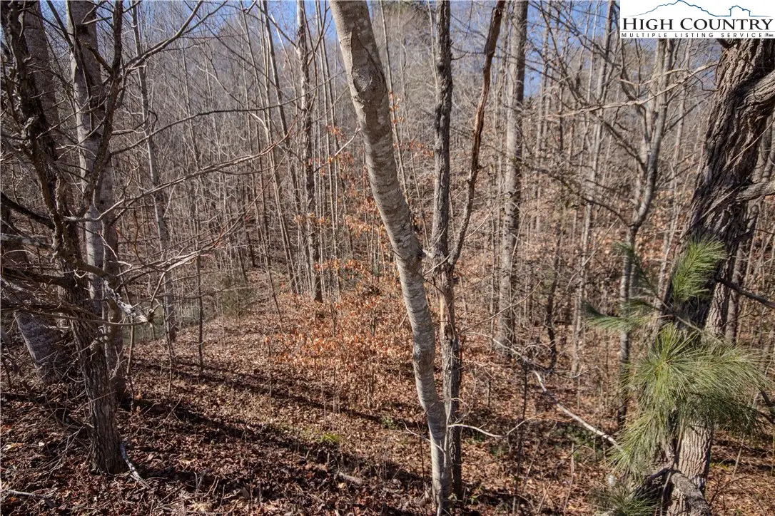 746 SE Chatsworth Street, Lenoir, NC 28645 - Image #1