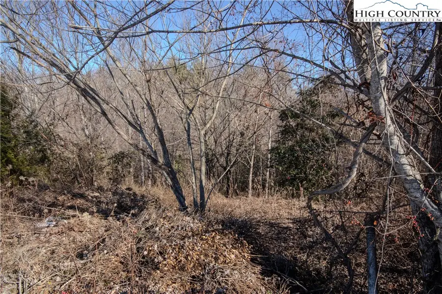 702 SE Chatsworth Street, Lenoir, NC 28645 - Image #2