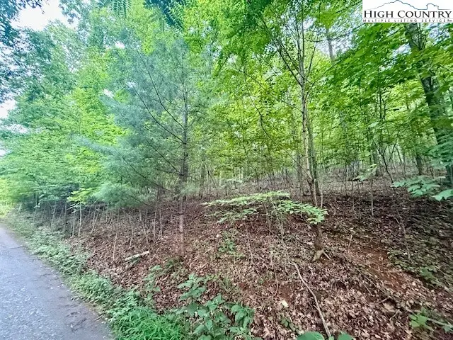 Lot 29 Winter Street, Jefferson, NC 28640 - Image #1