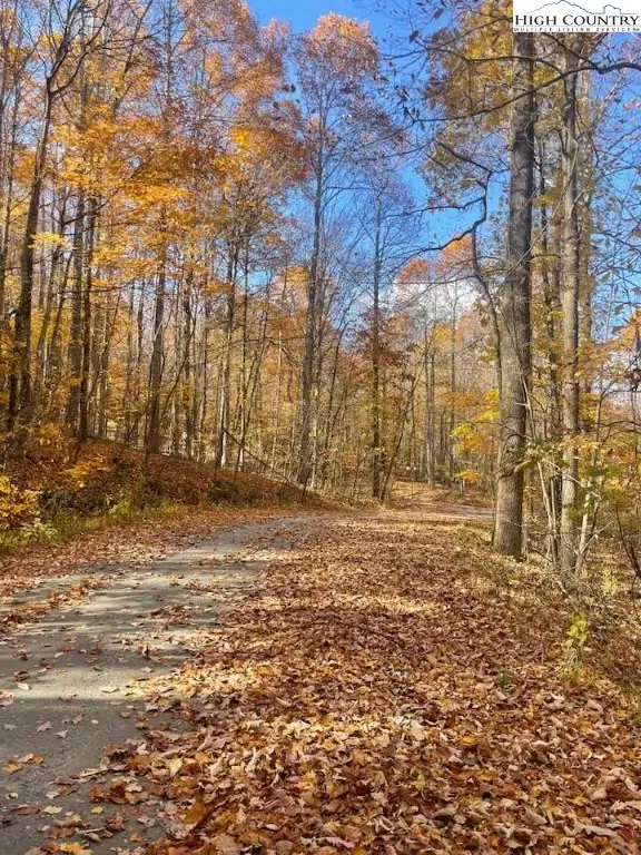 Lot 29 Winter Street, Jefferson, NC 28640 - Image #3