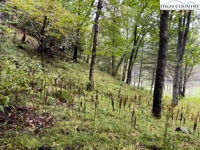 1 Old Boyer Ferry Rd., Galax, VA 24333 - Image #3