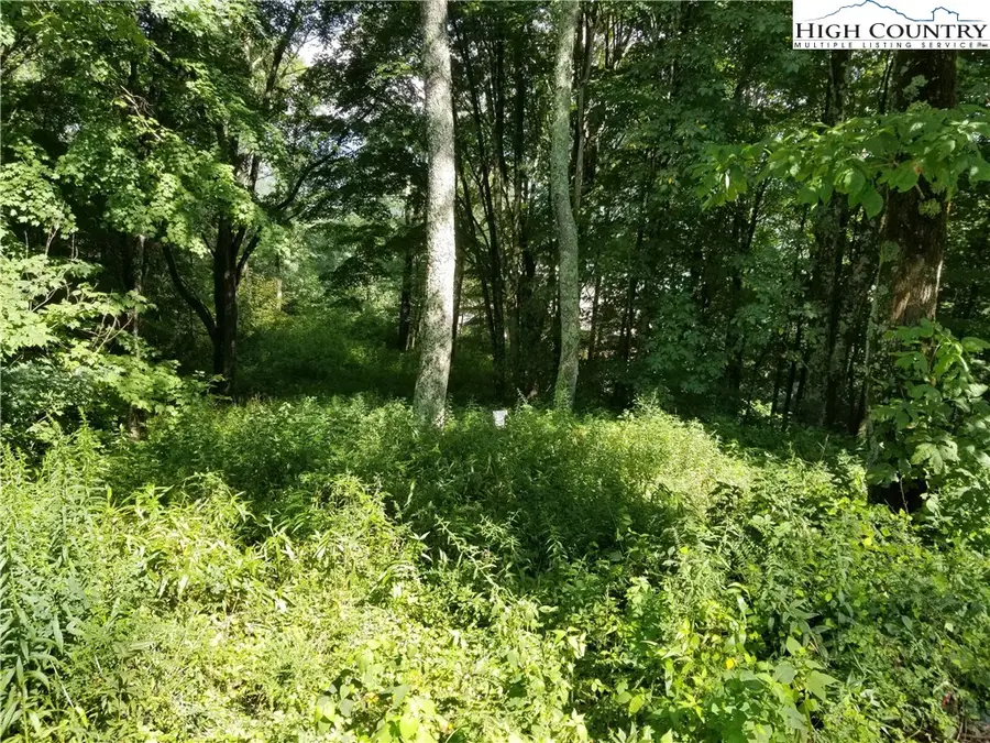 Lot 20 Jewel Weed Trail, Newland, NC 28657 - Image #2