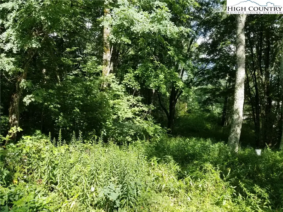 Lot 20 Jewel Weed Trail, Newland, NC 28657 - Image #3