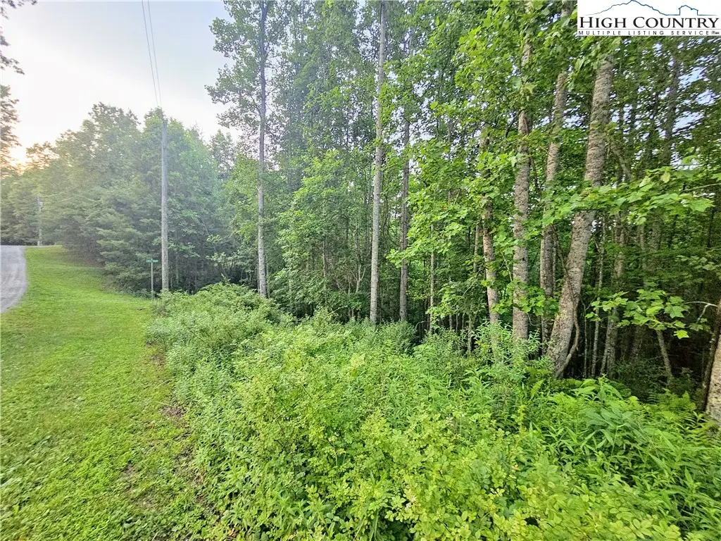 Lot 21 Eagles Landing Dr, Crumpler, NC 28617 - Image #1