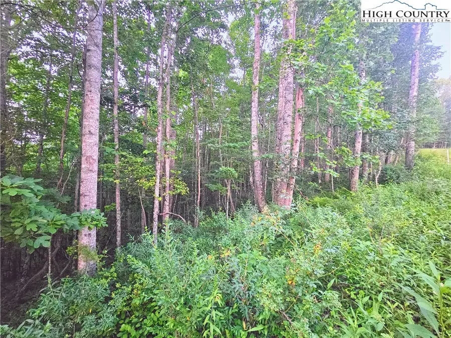 Lot 21 Eagles Landing Dr, Crumpler, NC 28617 - Image #3
