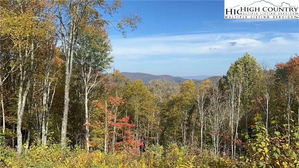 VR-19 Fernwood Trail, Beech Mountain, NC 28604 - Image #1