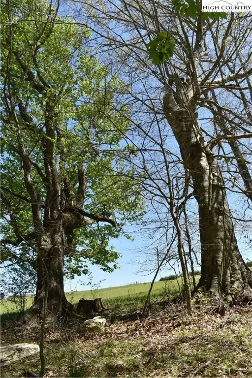 TBD Nile Road, Sparta, NC 28675 - Image #3