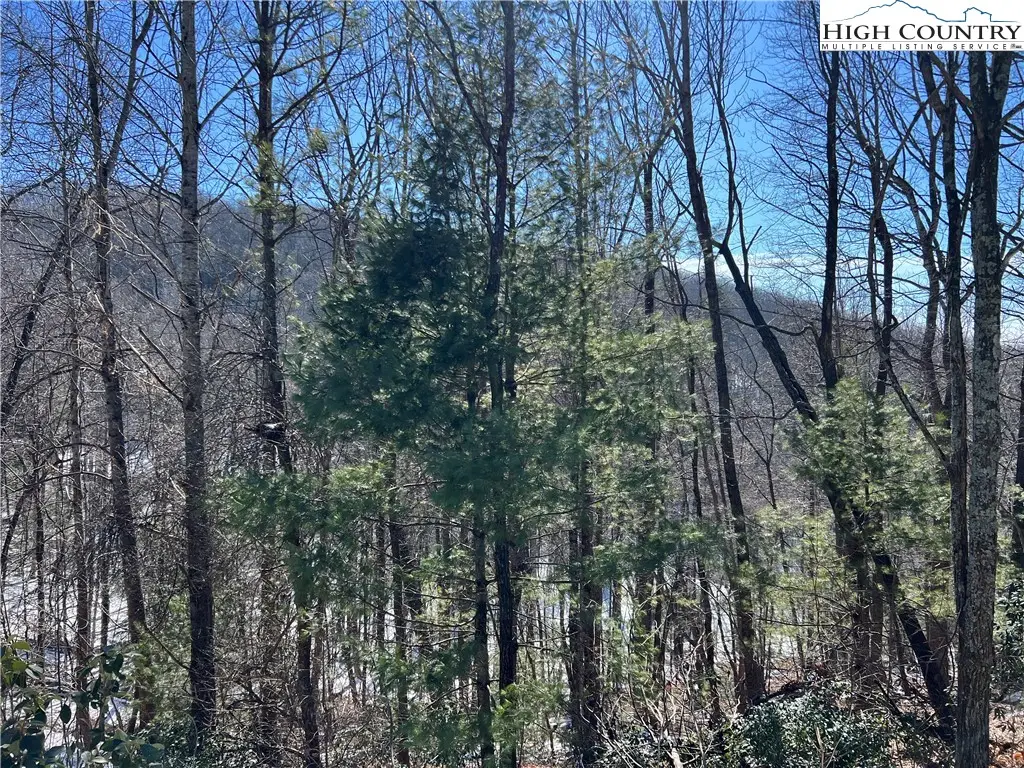 TBD (Lot 4) Wolf Den Lane, Lenoir, NC 28645 - Image #1