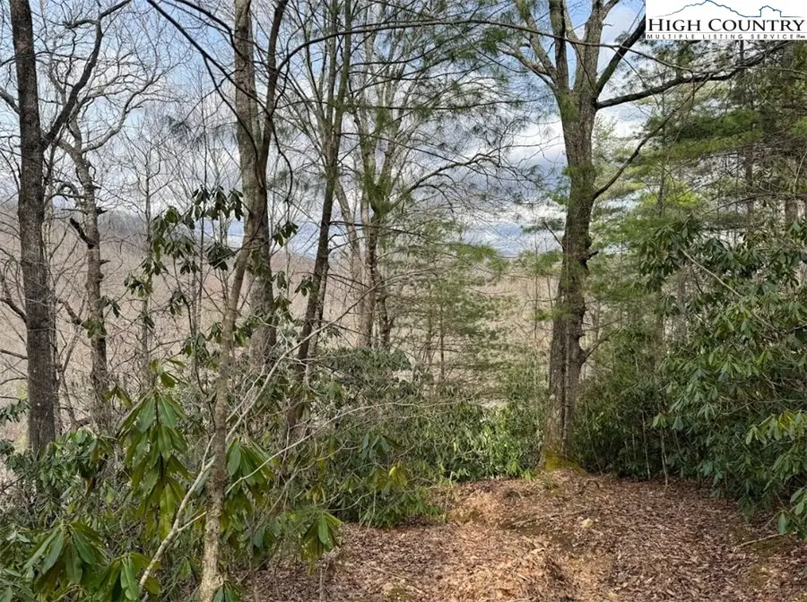 82+/- Acres Double Head Mountain Road, Newland, NC 28657 - Image #2