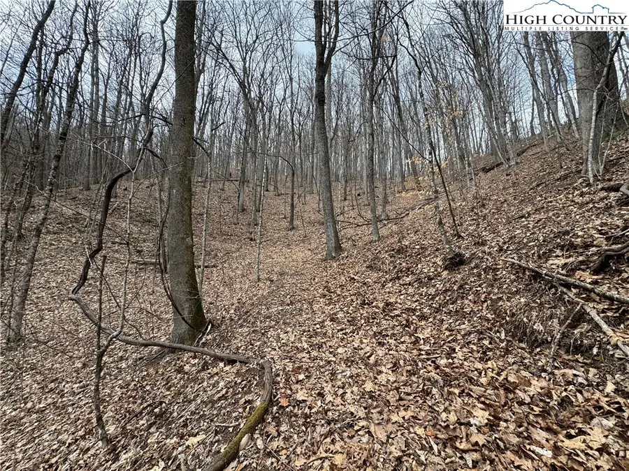 82+/- Acres Double Head Mountain Road, Newland, NC 28657 - Image #3