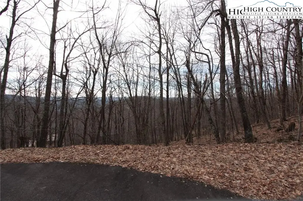 TBD Maple Tree Lane, West Jefferson, NC 28694 - Image #1