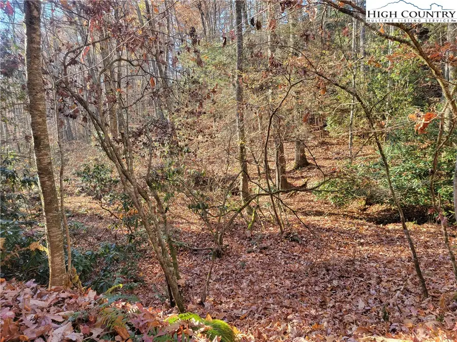 TBD Lake Front Dr, Fleetwood, NC 28626 - Image #2