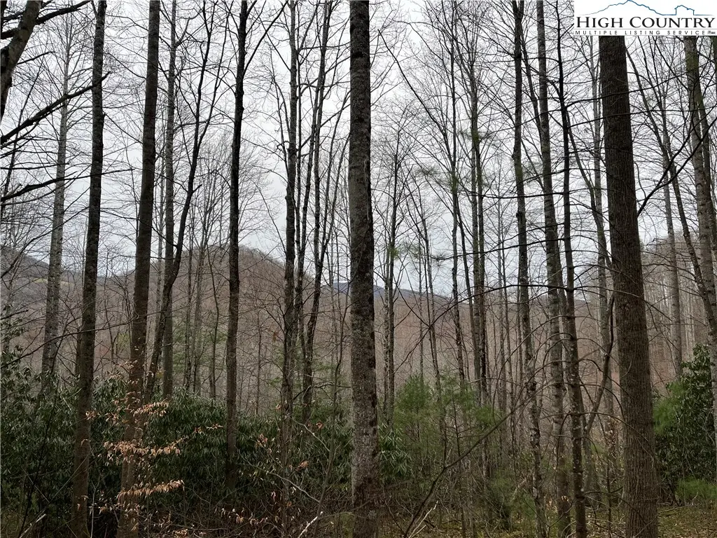 17 Solitude Lane, Todd, NC 28684 - Image #1