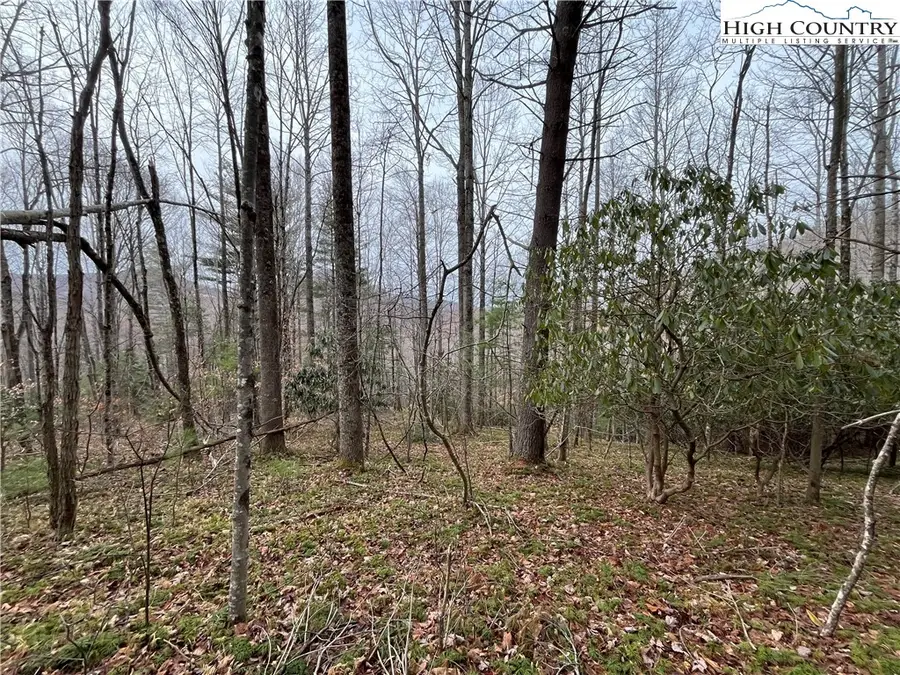 17 Solitude Lane, Todd, NC 28684 - Image #2