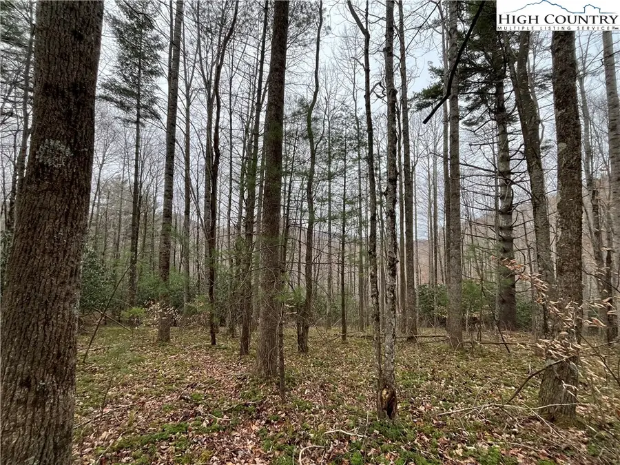 17 Solitude Lane, Todd, NC 28684 - Image #3