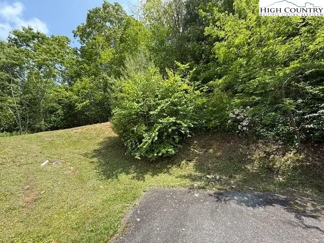 Lot 9 Trillium Lane, Linville Township, NC 28604 - Image #3