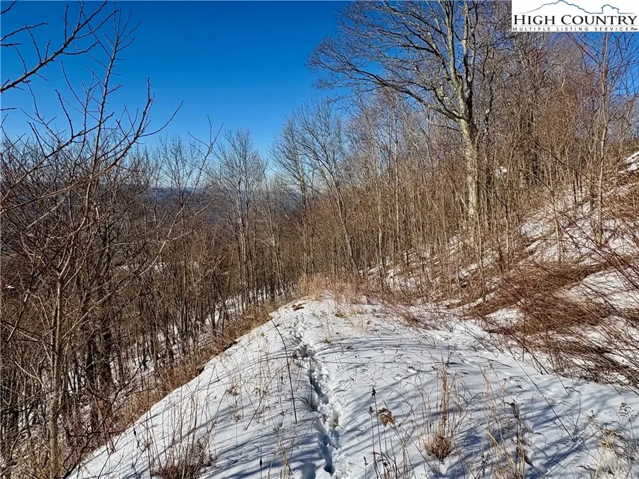 TBD Acorn Nvno Road, Zionville, NC 28698 - Image #2