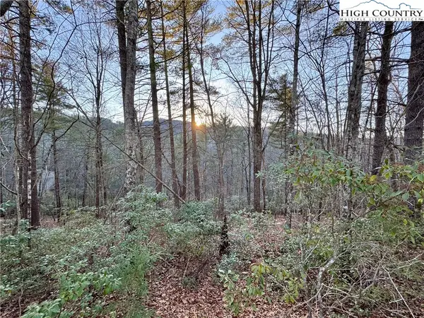 TBD Roaring Ridge Road, Deep Gap, NC 28618