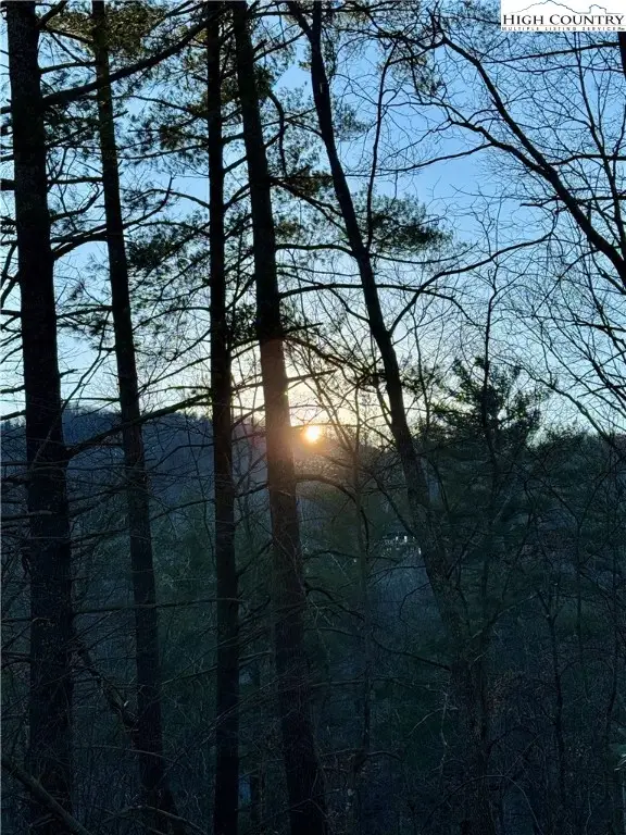 TBD Roaring Ridge Road, Deep Gap, NC 28618 - Image #2