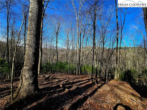 Lot 33 Riverstone, Laurel Springs, NC 28644