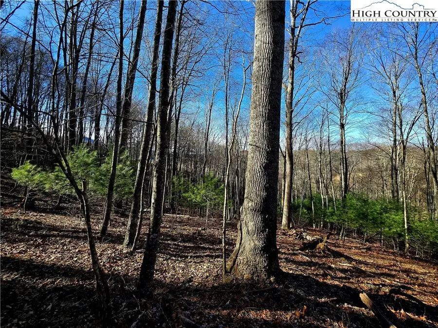 Lot 33 Riverstone, Laurel Springs, NC 28644 - Image #2
