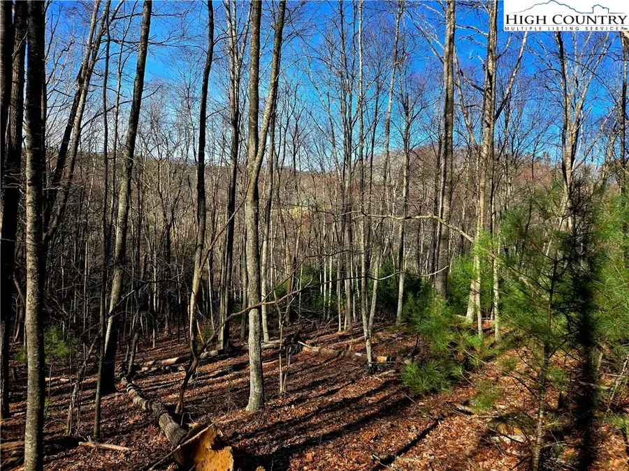 Lot 33 Riverstone, Laurel Springs, NC 28644 - Image #3