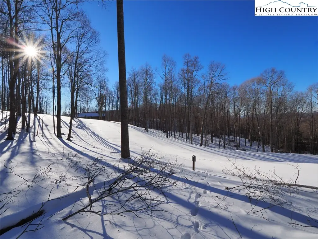 109 Blacksmith Court, Elk Park, NC 28622 - Image #1