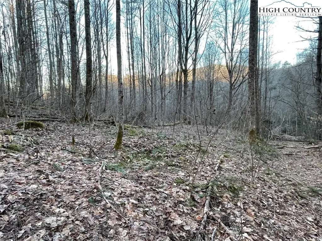 0 Dark Ridge Road, Elk Park, NC 28622 - #1