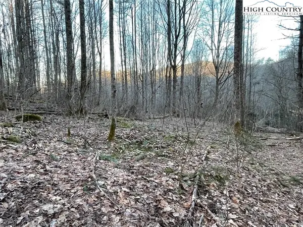 0 Dark Ridge Road, Elk Park, NC 28622