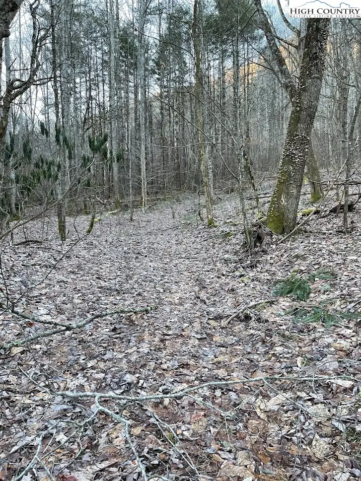 0 Dark Ridge Road, Elk Park, NC 28622 - #2