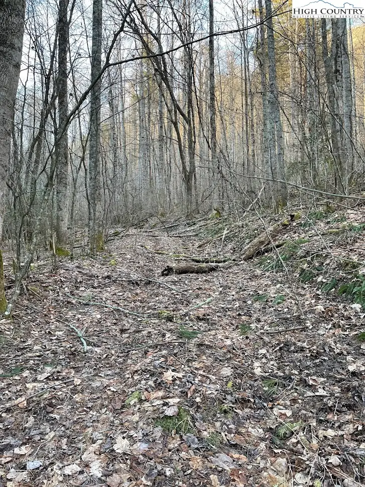 0 Dark Ridge Road, Elk Park, NC 28622 - #3