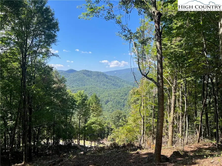 104 Bear Paw Road, Elk Park, NC 28622 - Image #2